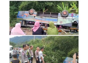 Bus ALS nomor polisi BK 8621 DP mengangkut 23 orang penumpang terbalik dan terguling ke dalam jurang  sedalam empat meter di Kabupaten Tapanuli Selatan (Tapsel), Jumat (28/10). (ANTARA/Kodir)