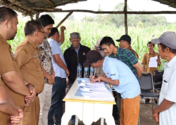 Para Petani Food Estate kembali menandatangani perjanjian kerja sama dengan PT. Parna Raya, di Saung Petani, areal Food Estate, Desa Ulu Merah, Kecamatan Sitellu tali Urang Julu, Kabupaten Pakpak Bharat, Senin (12/06/2023).